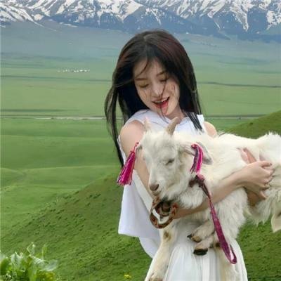 携带狗的猫