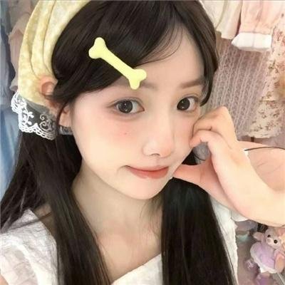 狗狗监护权